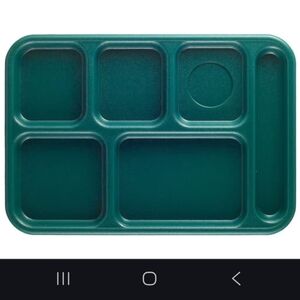 Cambro Polymer Divided Lunch Food Plate / Organizer - Individual - NWT